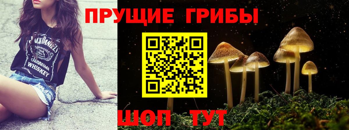 Псилоцибиновые грибы мицелий  Вход с VPN  Кулебаки  Галлюциногенные грибы GOLDEN TEACHER 