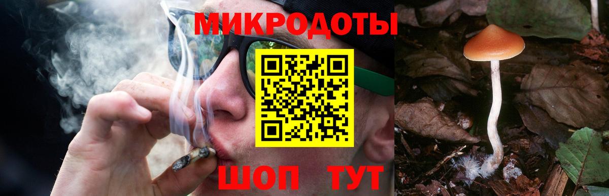 Галлюциногенные грибы Cubensis Кулебаки